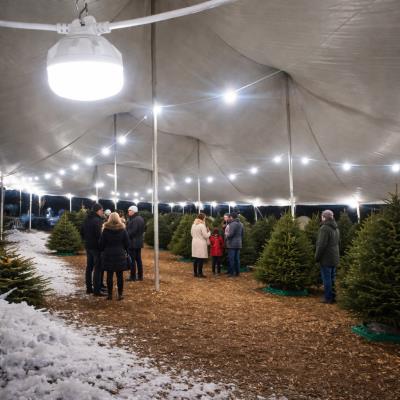 Rental store for Canopy 2 Bulb - 20  LED Lights in Burnsville MN