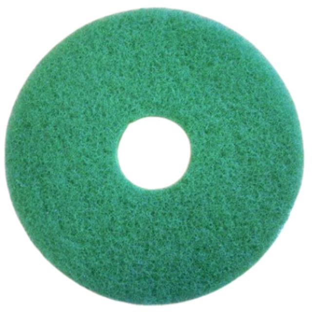 Rental store for Polisher - 17  Green Floor Pad - Scrubbi in Burnsville MN
